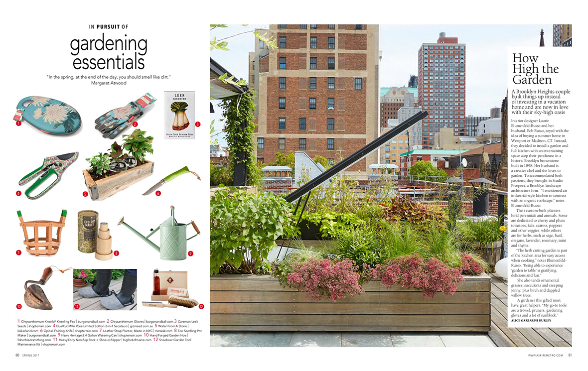 Laurie Blumenfeld-Russo roof-top Brooklyn garden in ASPIRE Design and Home