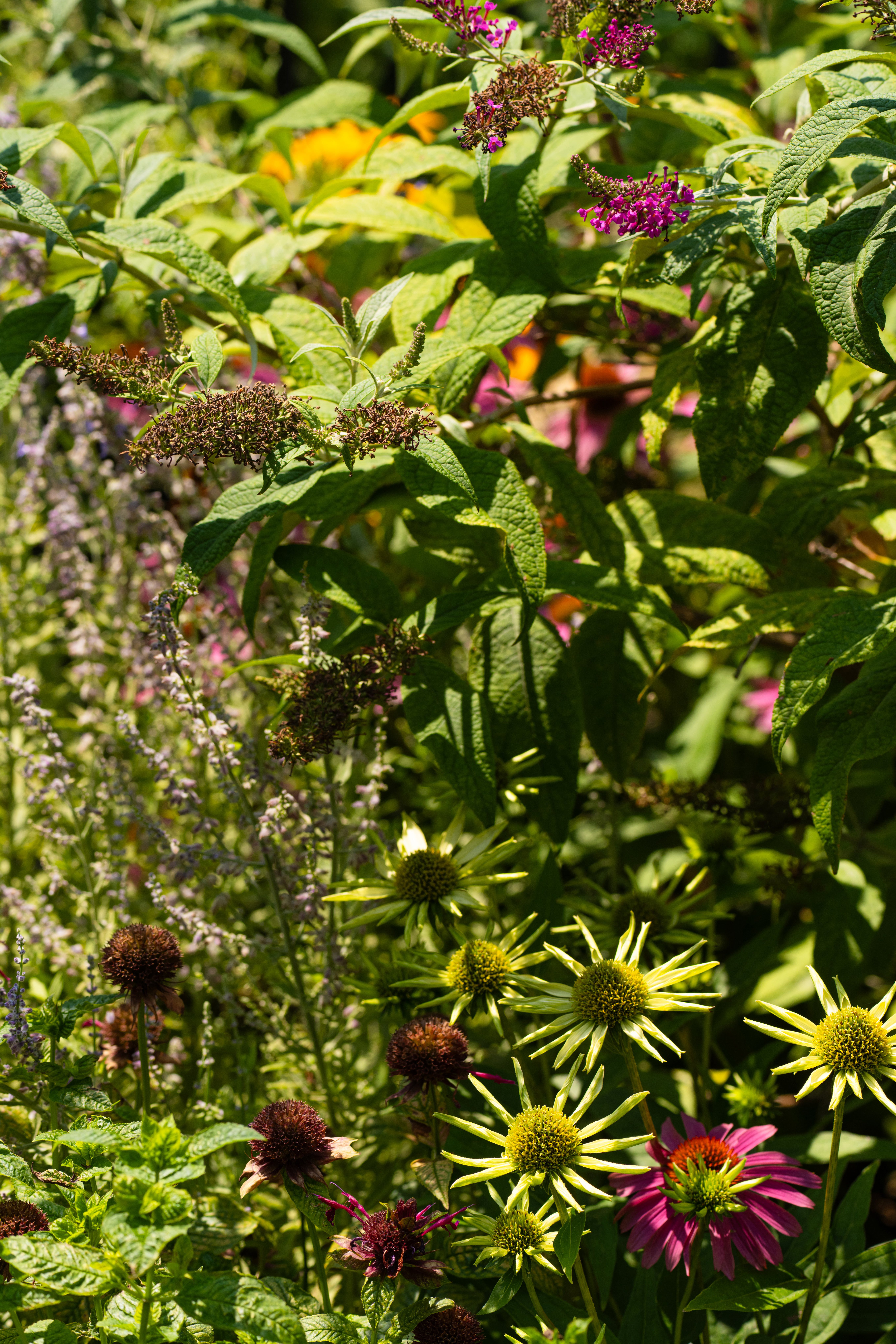 BROOKLYN WATERFRONT GARDEN DESIGN