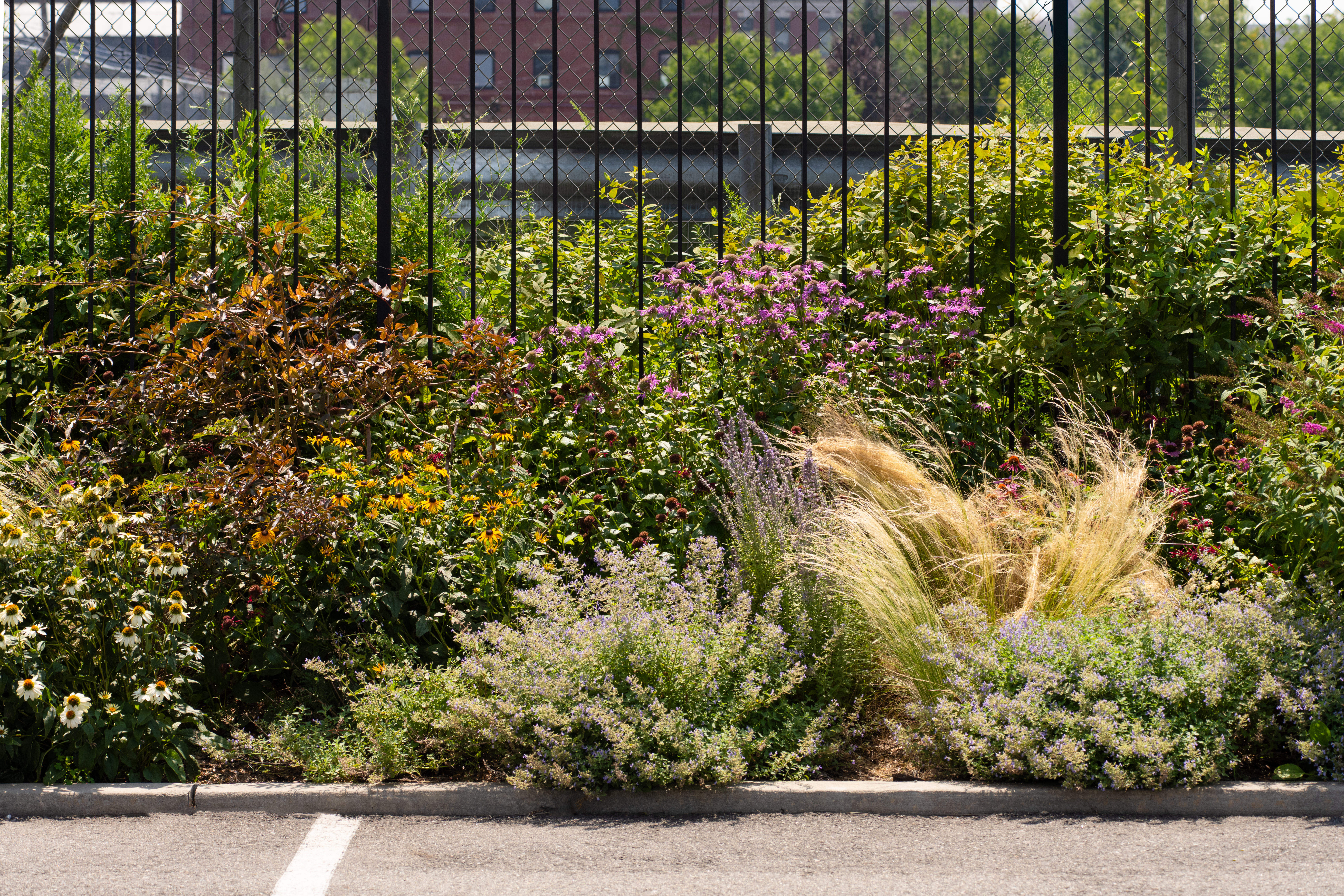 BROOKLYN WATERFRONT GARDEN DESIGN