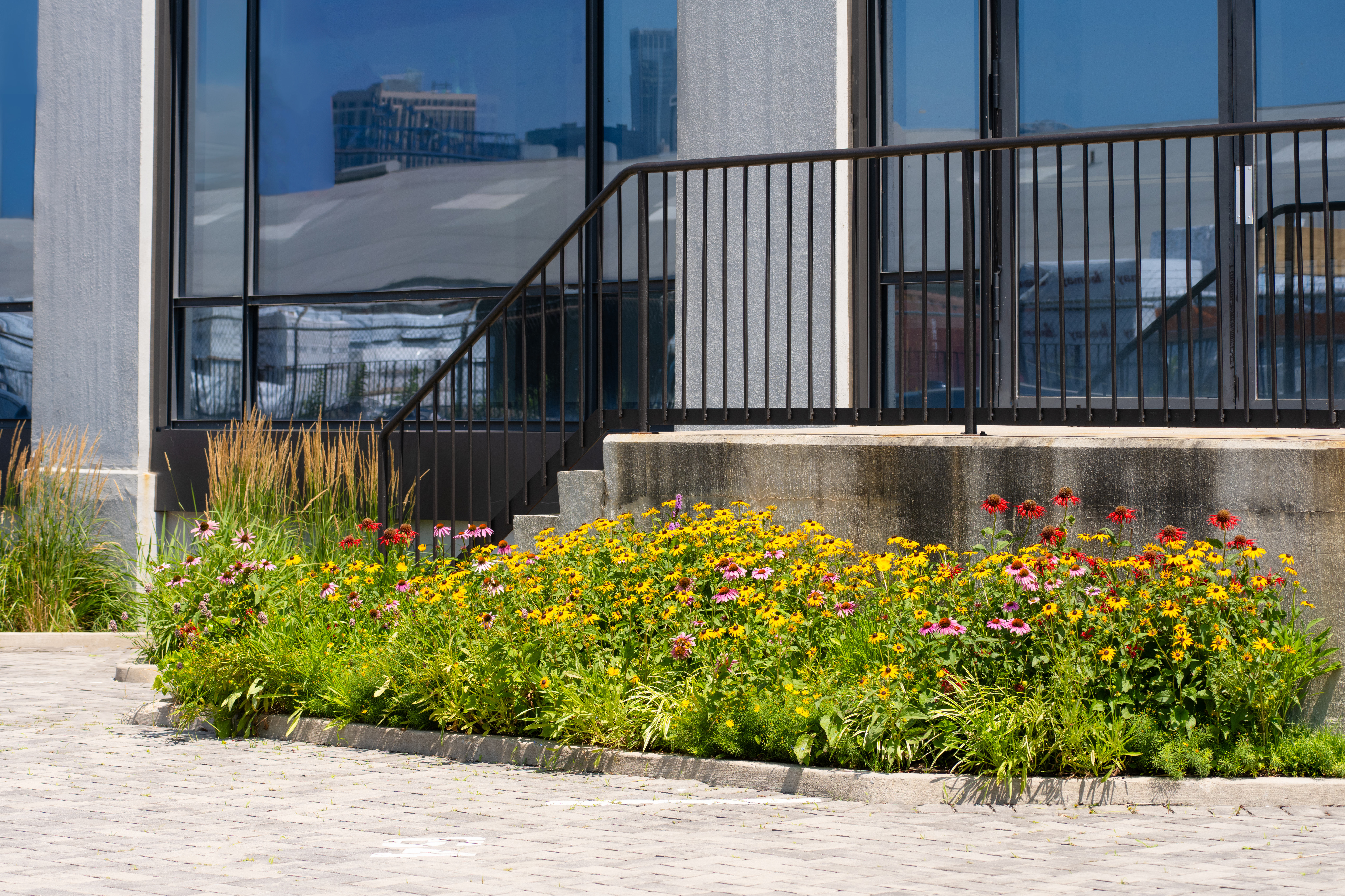 BROOKLYN WATERFRONT GARDEN DESIGN