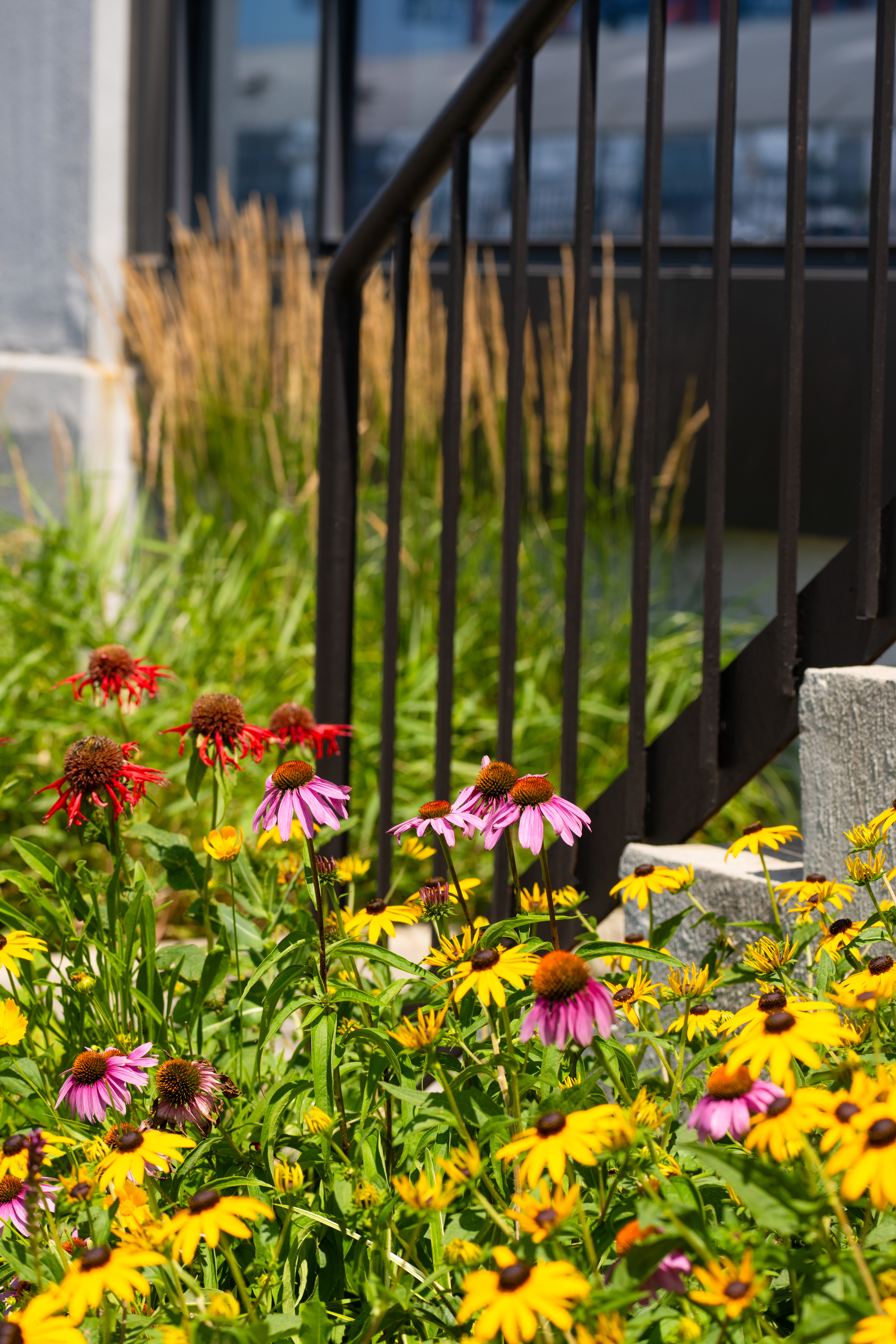BROOKLYN WATERFRONT GARDEN DESIGN