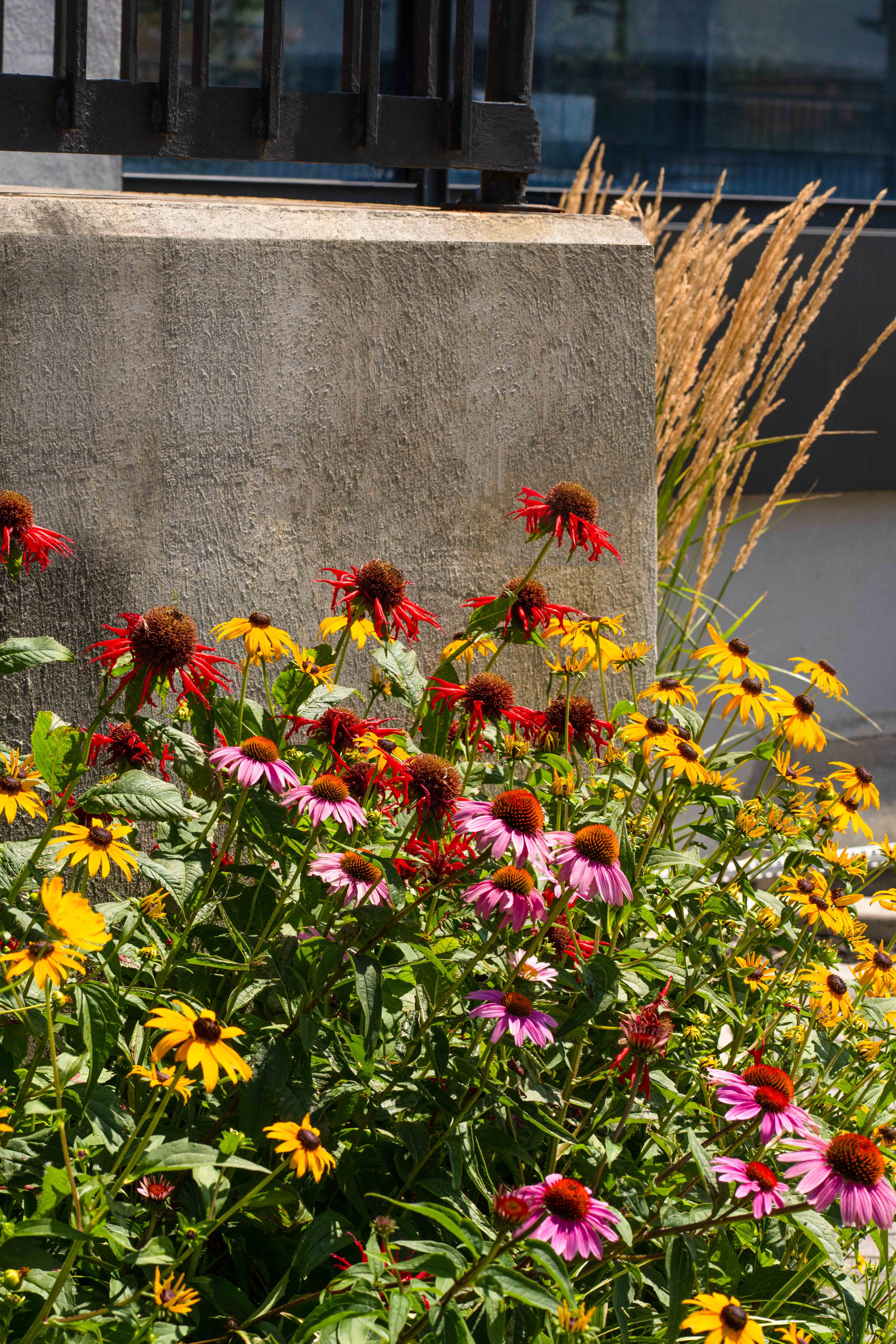 BROOKLYN WATERFRONT GARDEN DESIGN