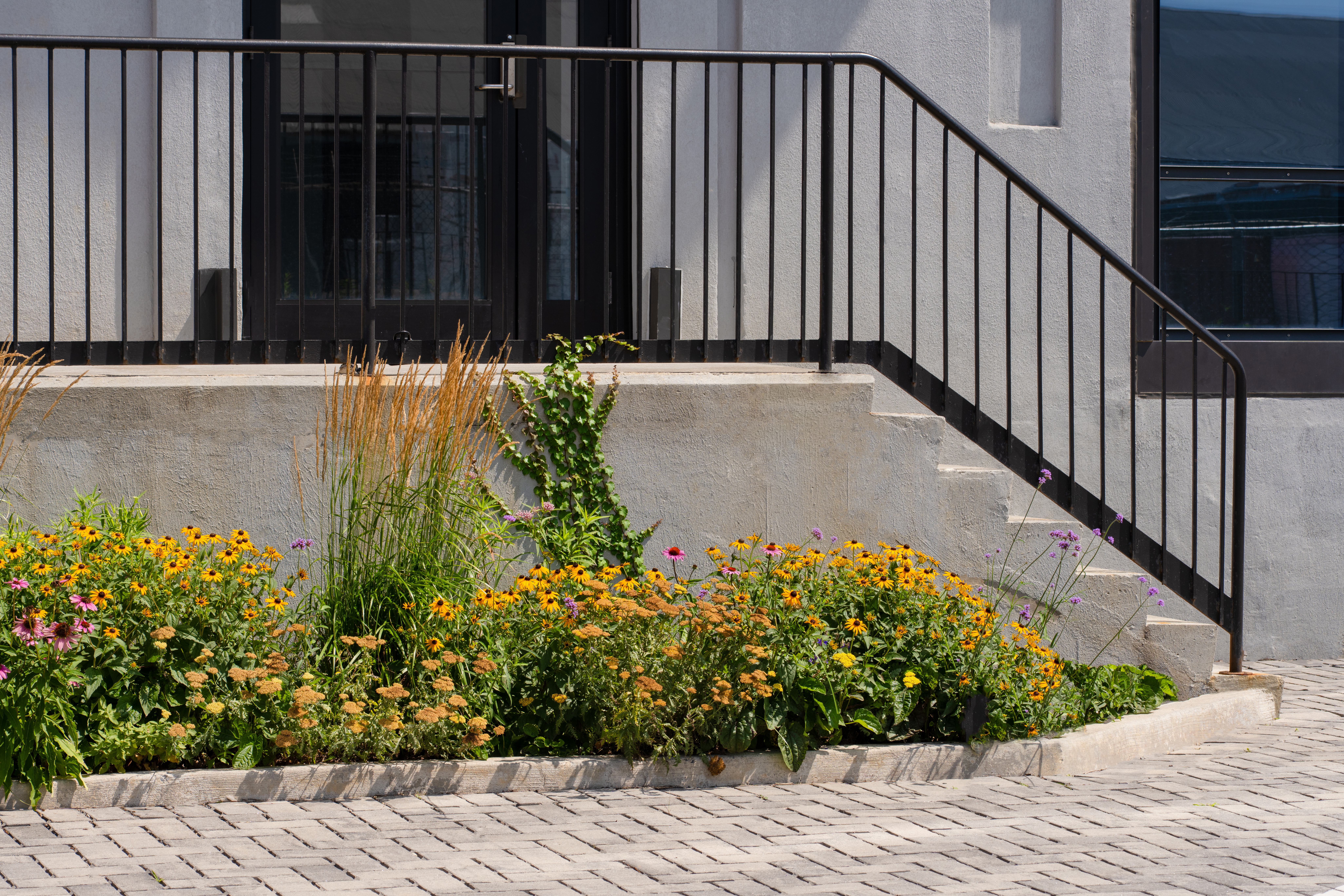 BROOKLYN WATERFRONT GARDEN DESIGN