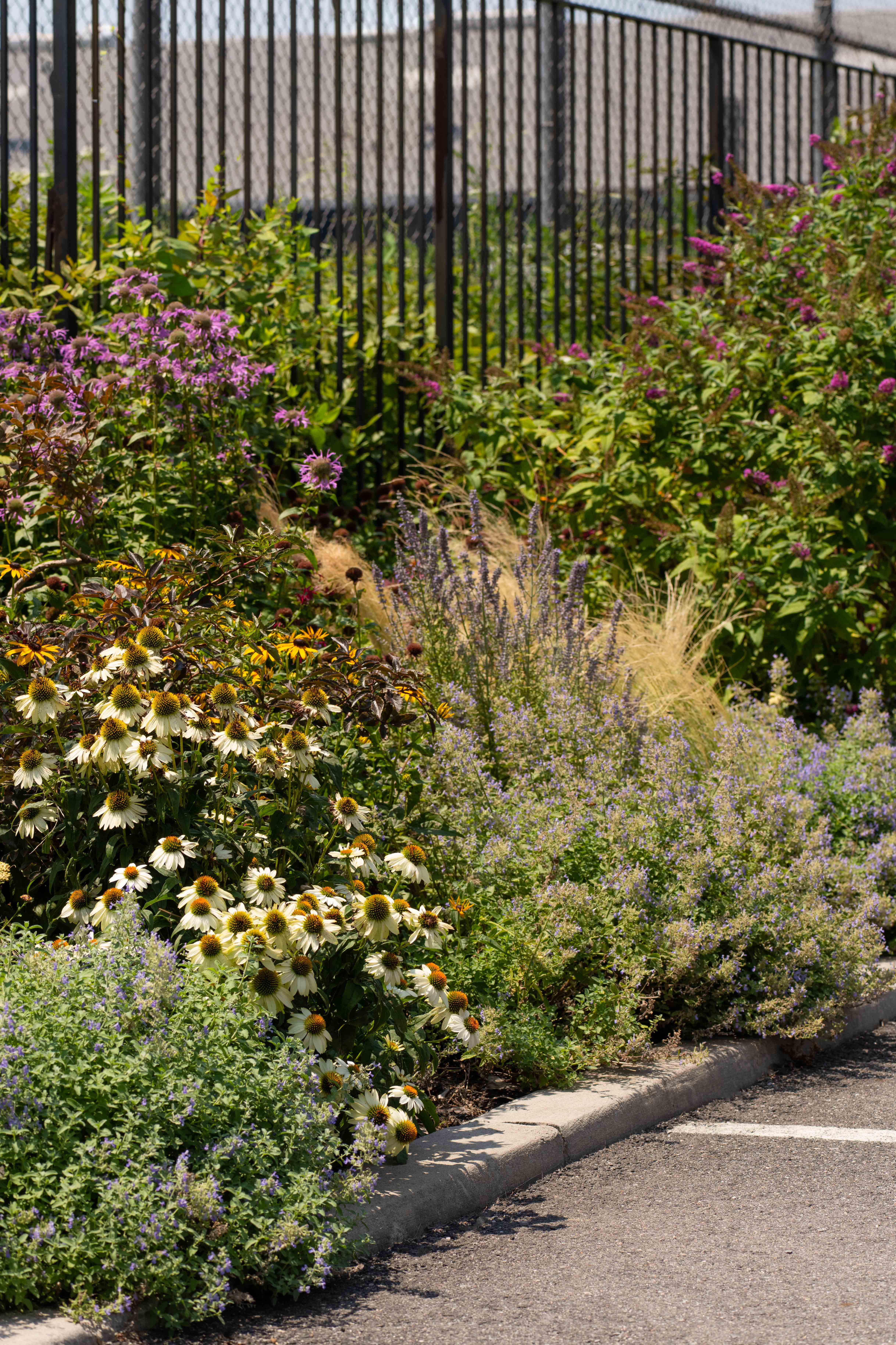BROOKLYN WATERFRONT GARDEN DESIGN