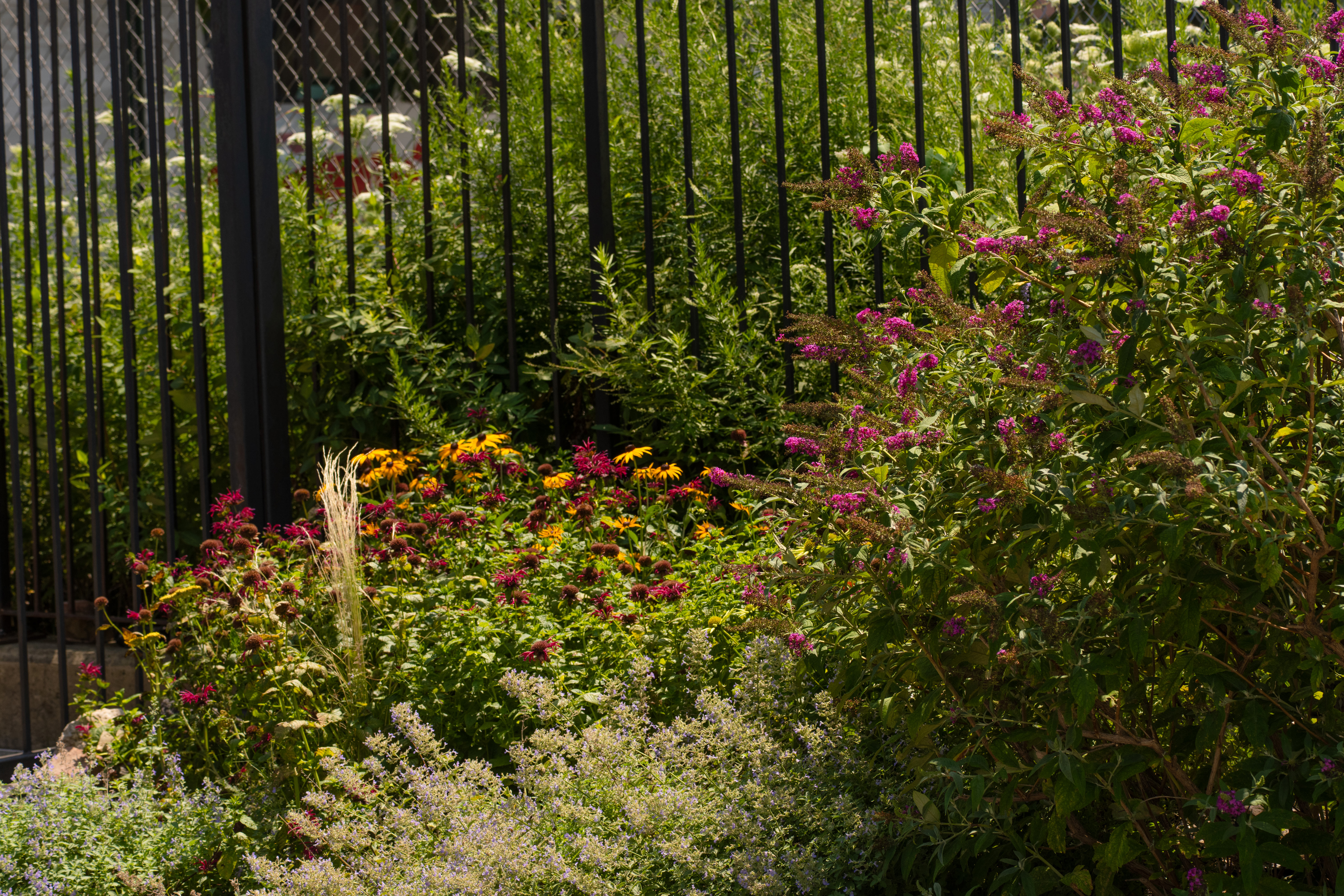 BROOKLYN WATERFRONT GARDEN DESIGN