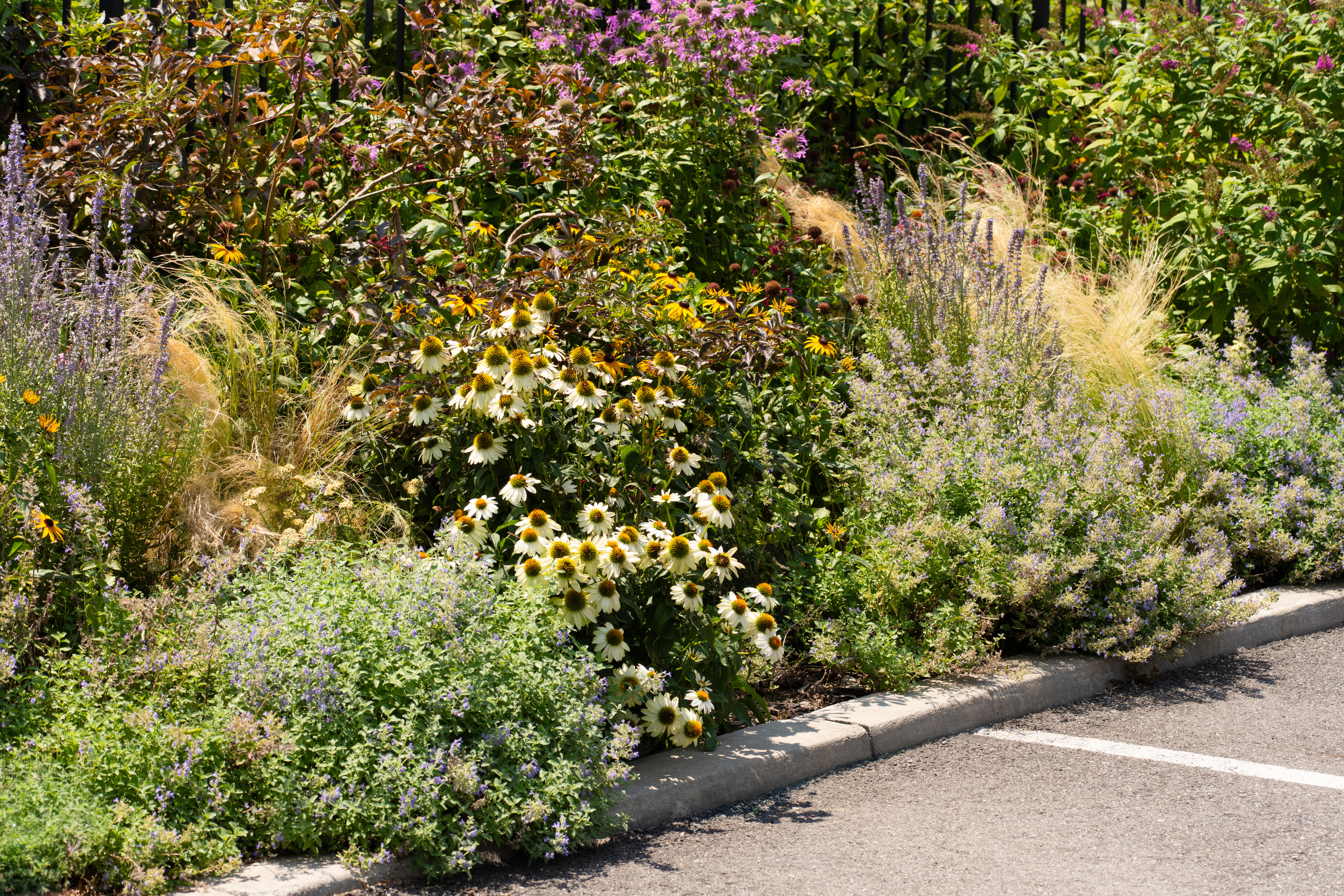 BROOKLYN WATERFRONT GARDEN DESIGN