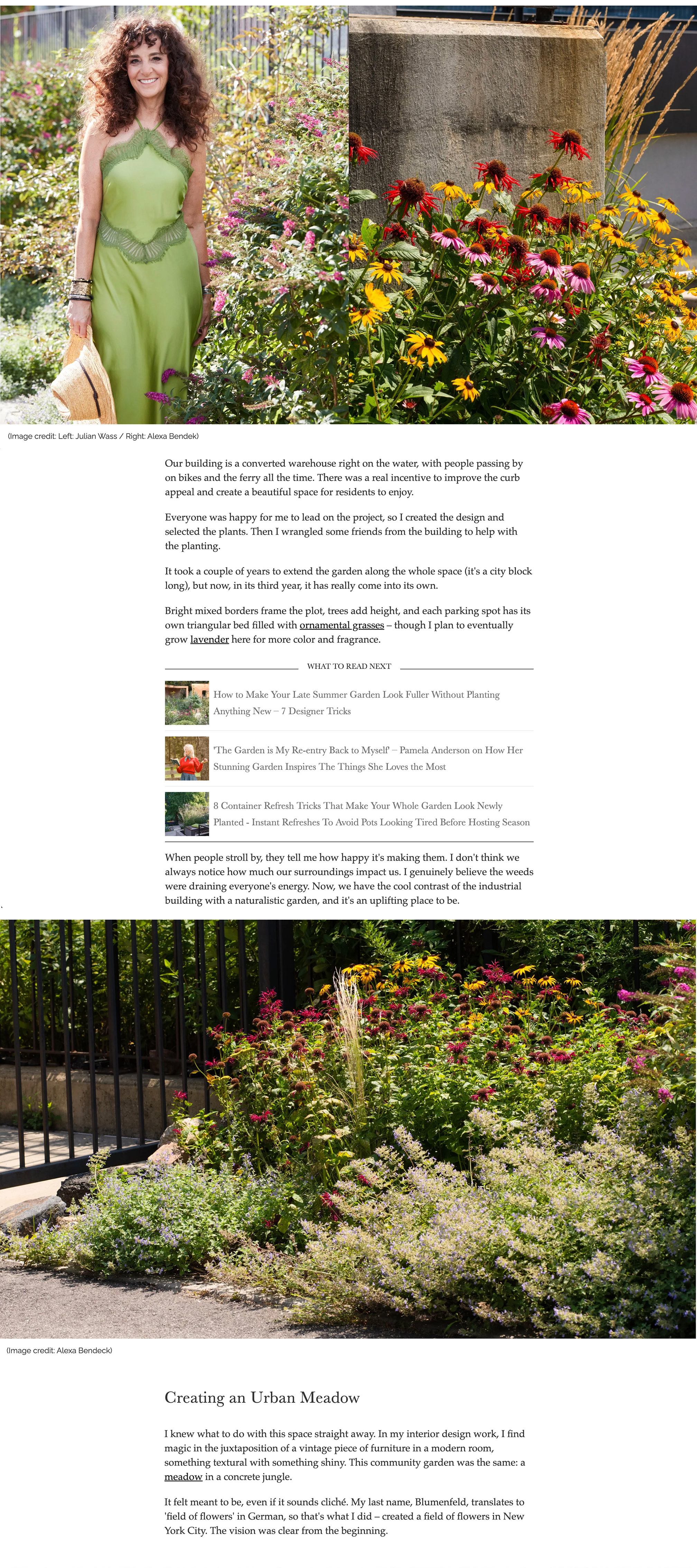 HOMES & GARDENS | Garden Diaries: 'There's Magic in Juxtaposition' ? How Laurie Blumenfeld Transformed a New York City Parking Lot Into a Naturalistic Community Garden
