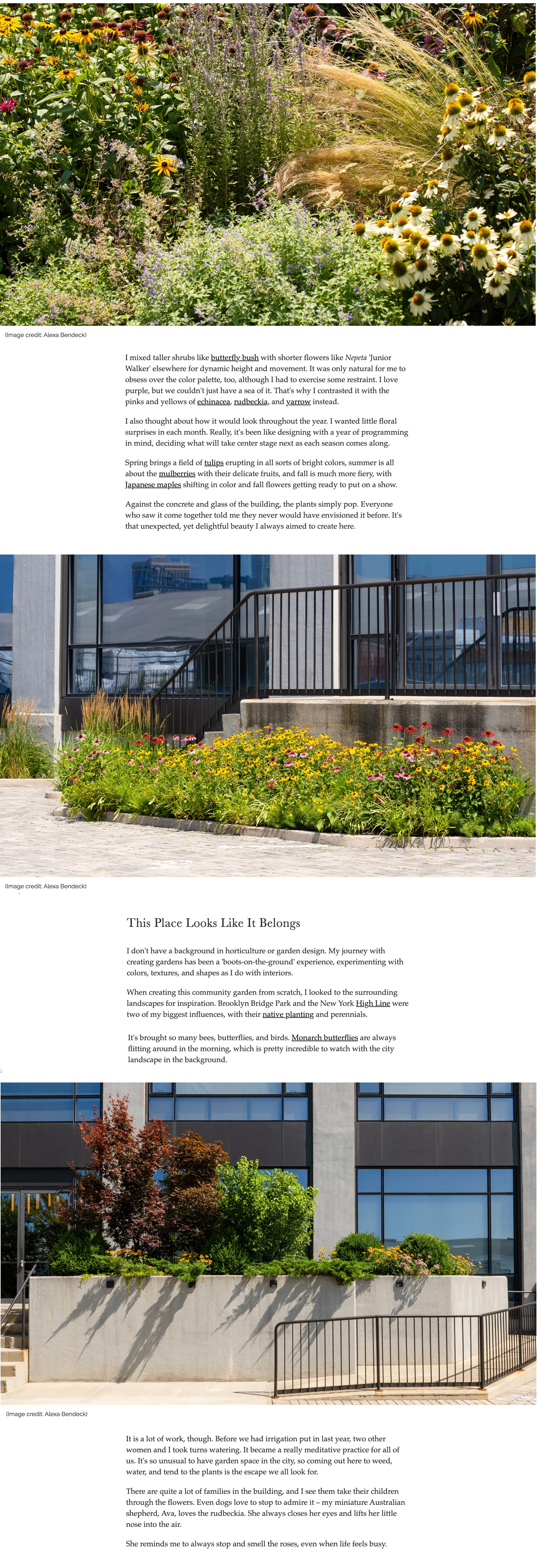 HOMES & GARDENS | Garden Diaries: 'There's Magic in Juxtaposition' ? How Laurie Blumenfeld Transformed a New York City Parking Lot Into a Naturalistic Community Garden